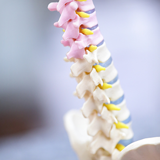 脊柱側弯症について