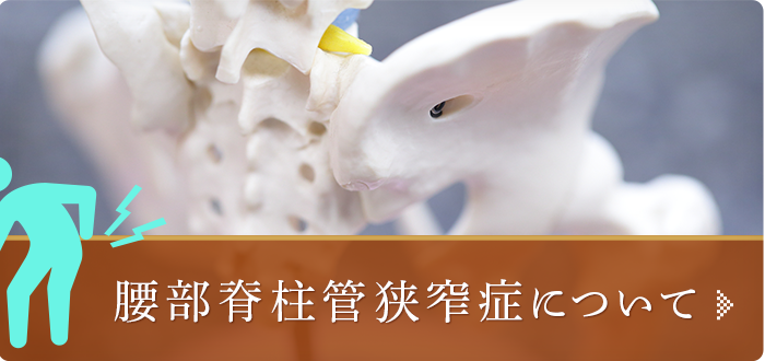 腰部脊柱管狭窄症について